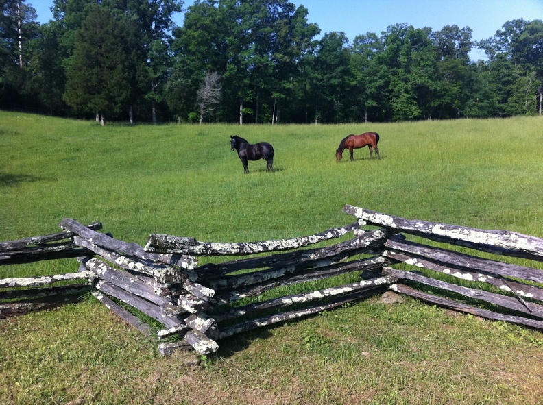 Oscar Blevins Farm_ Big South Fork - 44.jpg